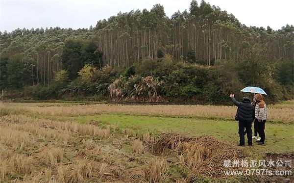 汕尾市陈老师带着爱徒寻龙点穴