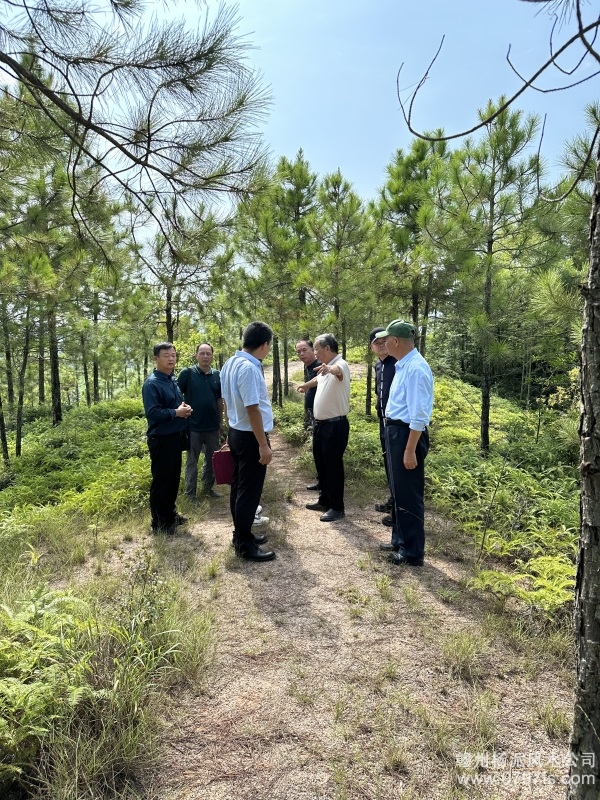 汕尾市学杨公风水跟陈荣昌老师实在